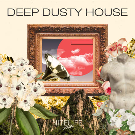 Deep Dusty House