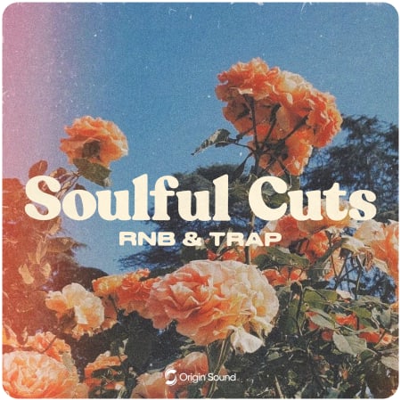 Soulful Cuts