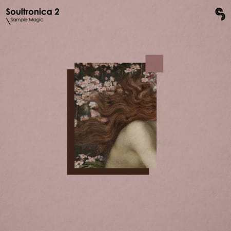 Soultronica 2