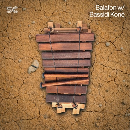 Balafon w/ Bassidi Koné