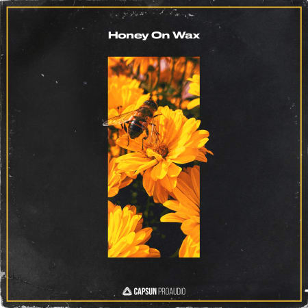 Honey On Wax
