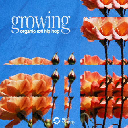 Growing - organic lofi hip hop