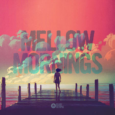 Mellow Mornings - Lofi Vibes