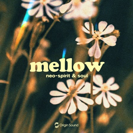 mellow - neo spirit & soul