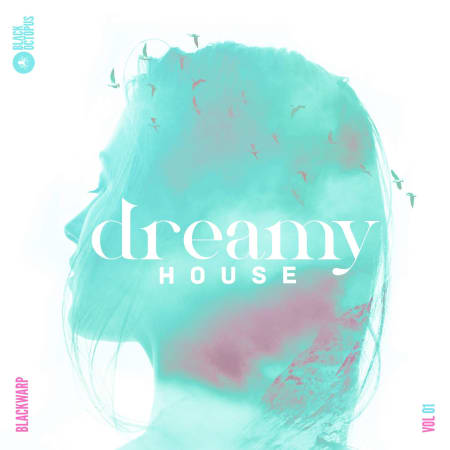 Dreamy House Vol 1 by Blackwarp