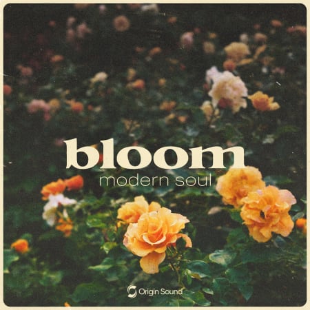 bloom - modern soul