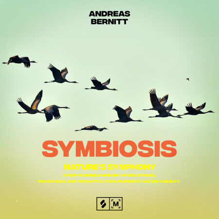 Symbiosis: Nature's Symphony