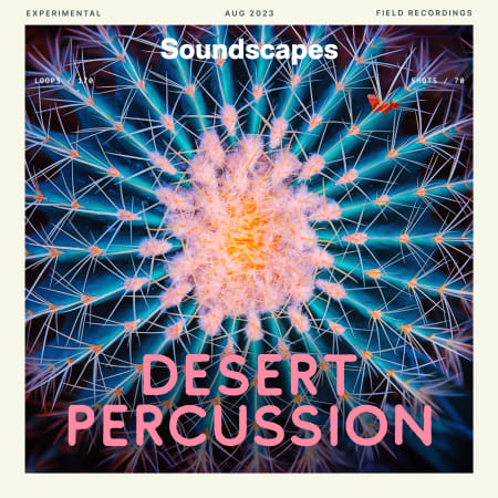 Desert Percussion
