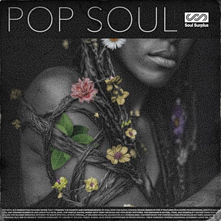 Pop Soul: Soul Sample Pack by Soul Surplus | Splice