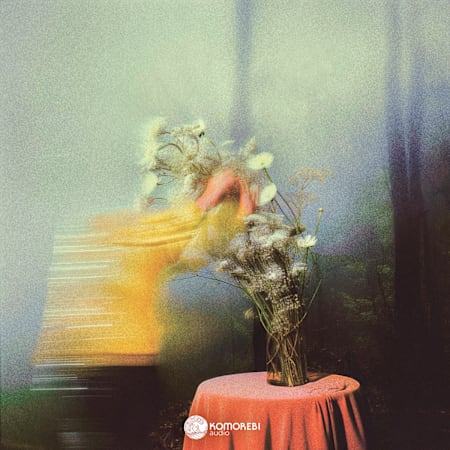 PHONOMETRICA vol.2 来場者配布CD tapestries - s. lyre vol 2: Rnb Sample Pack by Komorebi Audio | Splice