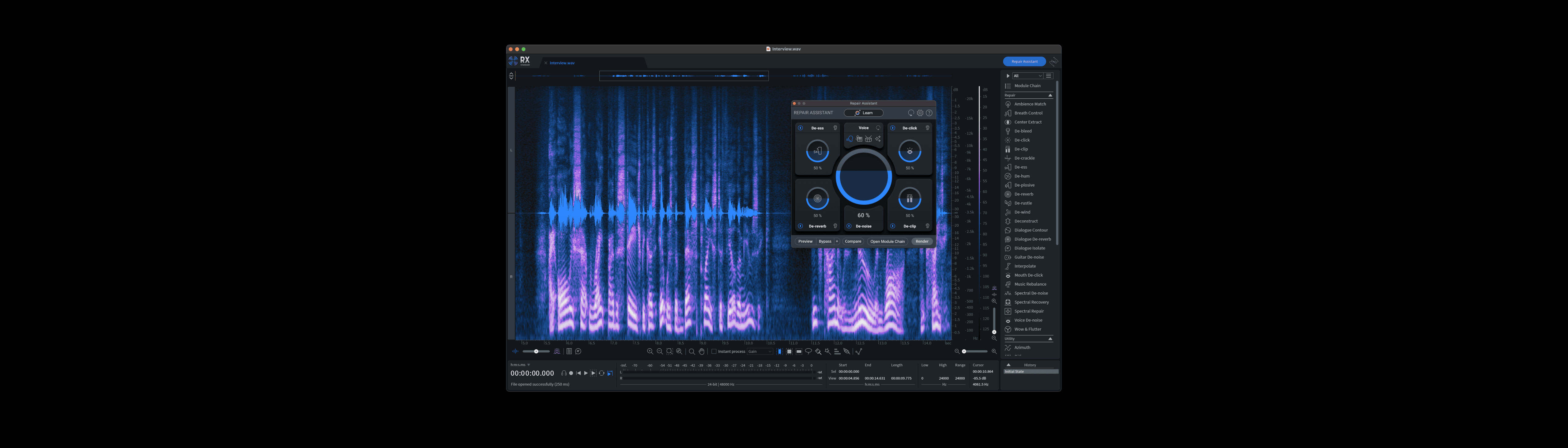 iZotope RX 10 Standard Editor