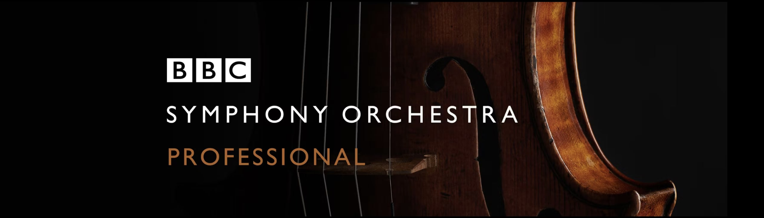 BBC Symphony Orchestra Pro6