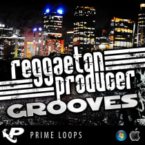 Reggaeton Producer Grooves