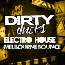 Electro House and Melbourne Bounce