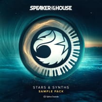 Speaker of the House - Stars & Synths