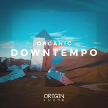 Organic Downtempo