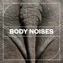 Body Noises