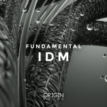 Fundamental IDM