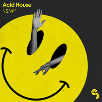 Acid House