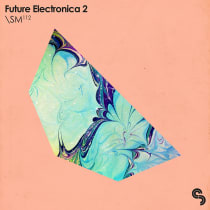 Future Electronica 2