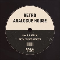 Retro Analogue House