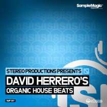 Stereo Productions Present: David Herrero's Organic House Beats