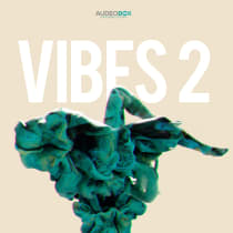 Vibes Vol. 2