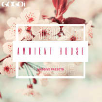 Ambient House Massive