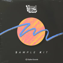 Yung Bae Sample Kit