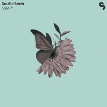 Soulful Beats