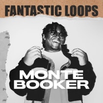 Fantastic Loops: Monte Booker