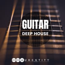 Guitar Deep House