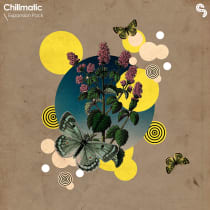 Expansion Pack - Chillmatic