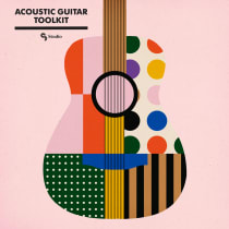 Acoustic Guitar Toolkit