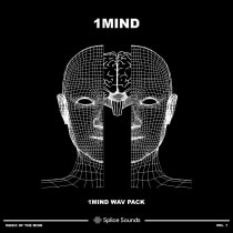 1Mind Wav Pack