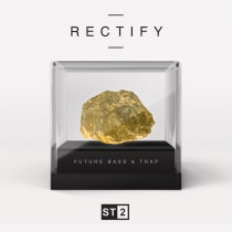 RECTIFY - ST2 Samples