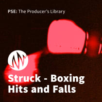 Struck - Boxing Hits and Falls