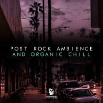 Post Rock Ambience and Organic Chill