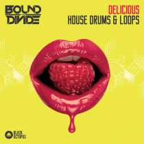 Delicious House Drums & Loops by Bound To Divide