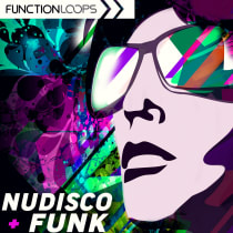 Nudisco & Funk with Live Guitars