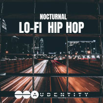 Nocturnal Lo-Fi Hip Hop