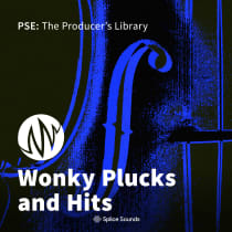 Wonky Plucks and Hits