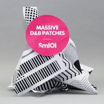 Massive D&B Patches