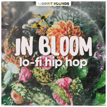 In Bloom - Lofi Hip Hop
