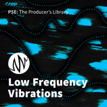 Low Frequency Vibrations