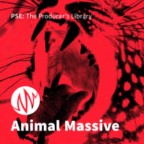 Animal Massive