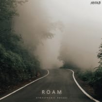 Roam: Atmospheric Breaks