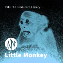 Little Monkey