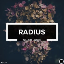 Radius