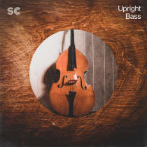 Upright Bass